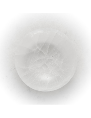 copy of 